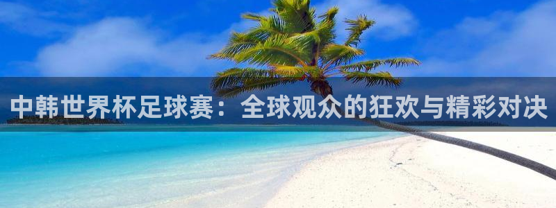 世界杯直播：中韩世界杯足球赛：全球观众的狂欢与精彩对决