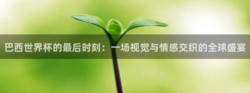 欧洲区世界杯预选赛：巴西世界杯的最后时刻：一场视觉与情感交织的全球盛宴