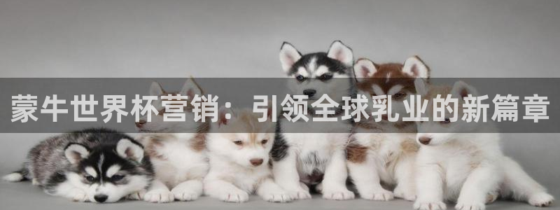世界杯亚洲区预选赛赛程表：蒙牛世界杯营销：引领全球乳业的新篇章