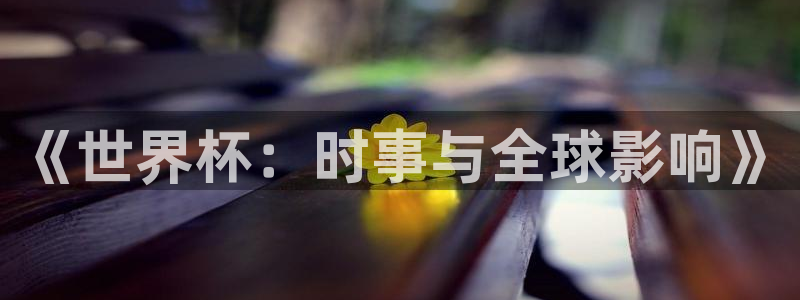 世界杯决赛圈球队：《世界杯：时事与全球影响》