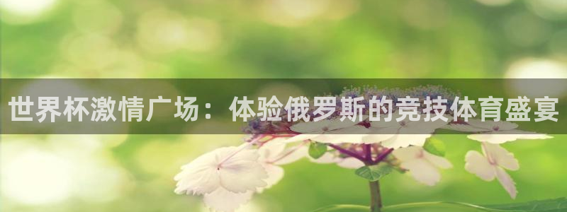 世界杯赛程2026：世界杯激情广场：体验俄罗斯的竞技体育盛宴