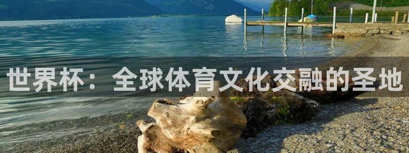 世界杯对阵图2026：世界杯：全球体育文化交融的圣地