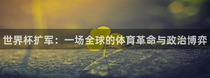 世界杯决赛直播：世界杯扩军：一场全球的体育革命与政治博弈