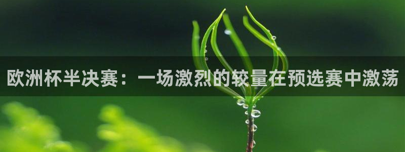 2026世预赛赛程：欧洲杯半决赛：一场激烈的较量在预选赛中激荡