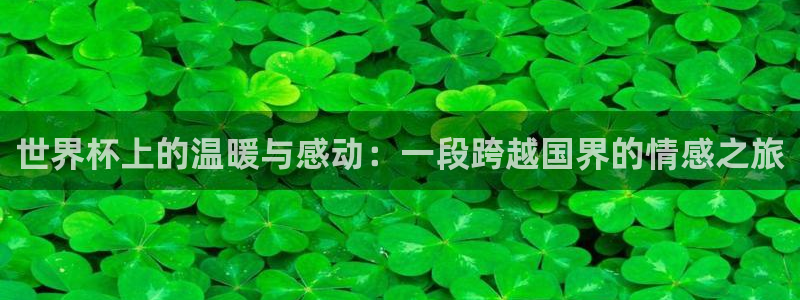 世界杯球队排名：世界杯上的温暖与感动：一段跨越国界的情感之旅