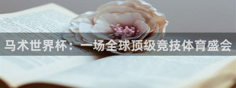 2026年世界杯赛程时间表格：马术世界杯：一场全球顶级竞技体育盛会