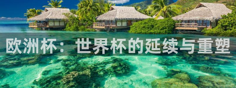 世界杯亚洲区预选赛：欧洲杯：世界杯的延续与重塑