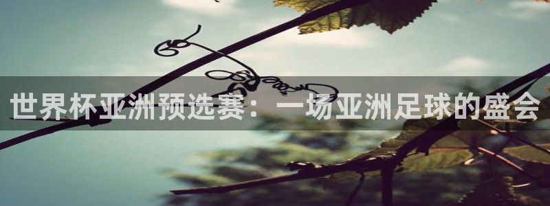世界杯预赛赛程：世界杯亚洲预选赛：一场亚洲足球的盛会