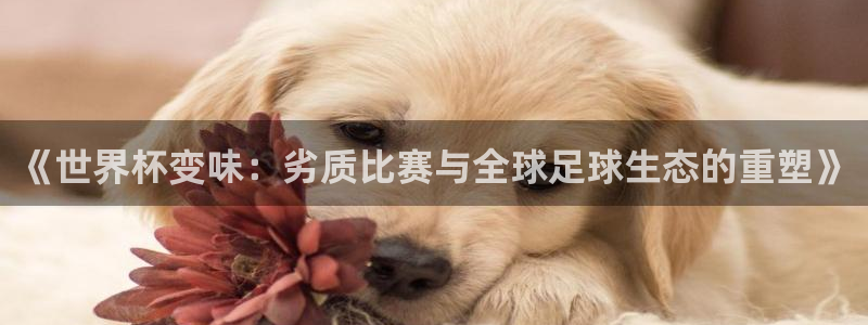 免费足球比赛直播高清：《世界杯变味：劣质比赛与全球足球生态的重塑》