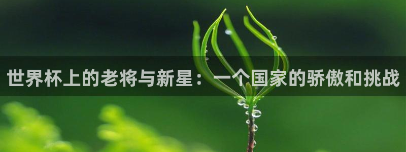 欧洲世预赛赛程表：世界杯上的老将与新星：一个国家的骄傲和挑战