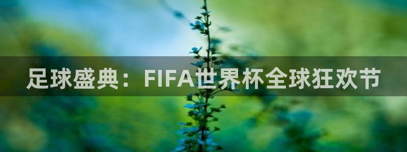 足球杯：足球盛典：FIFA世界杯全球狂欢节