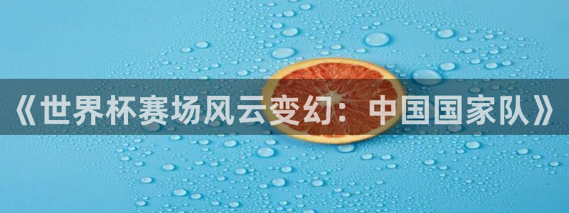 葡萄牙世界杯赛程：《世界杯赛场风云变幻：中国国家队》