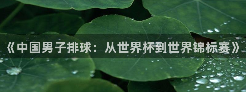 世界杯亚洲区预选赛：《中国男子排球：从世界杯到世界锦标赛》